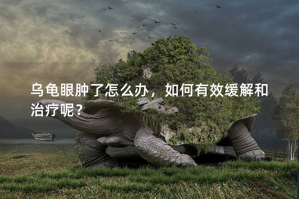 乌龟眼肿了怎么办，如何有效缓解和治疗呢？