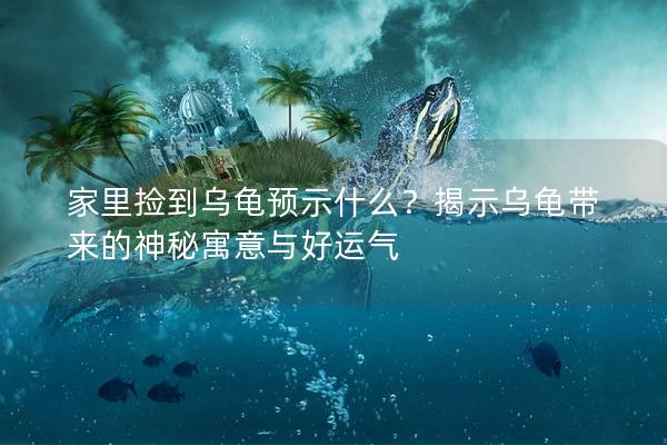 家里捡到乌龟预示什么？揭示乌龟带来的神秘寓意与好运气