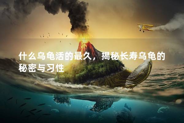 什么乌龟活的最久，揭秘长寿乌龟的秘密与习性