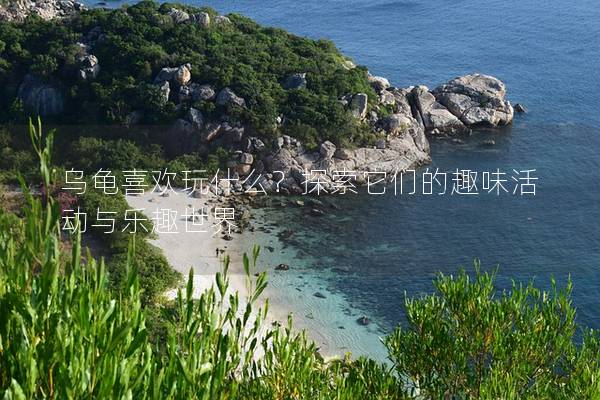乌龟喜欢玩什么？探索它们的趣味活动与乐趣世界