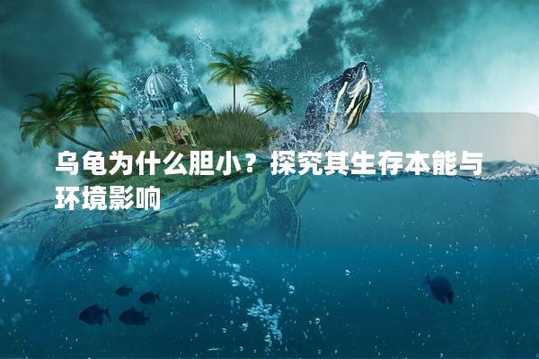 乌龟为什么胆小？探究其生存本能与环境影响