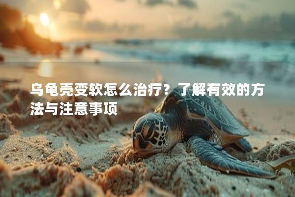 乌龟壳变软怎么治疗？了解有效的方法与注意事项