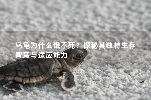乌龟为什么饿不死？探秘其独特生存智慧与适应能力