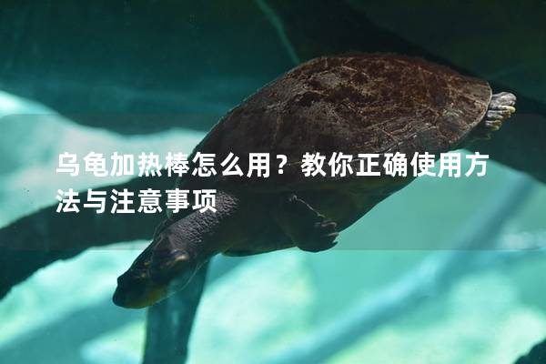 乌龟加热棒怎么用？教你正确使用方法与注意事项