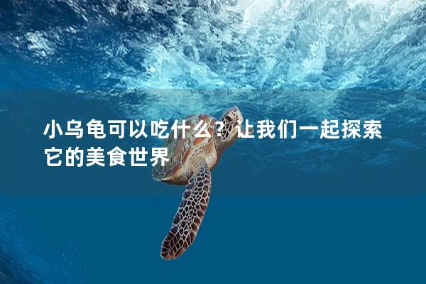 小乌龟可以吃什么？让我们一起探索它的美食世界