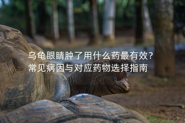 乌龟眼睛肿了用什么药最有效？ 常见病因与对应药物选择指南