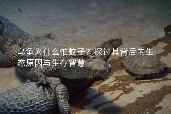乌龟为什么怕蚊子？探讨其背后的生态原因与生存智慧