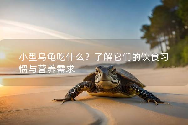 小型乌龟吃什么？了解它们的饮食习惯与营养需求