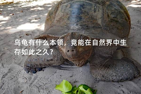 乌龟有什么本领，竟能在自然界中生存如此之久？