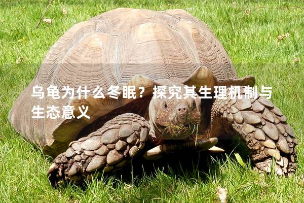 乌龟为什么冬眠？探究其生理机制与生态意义