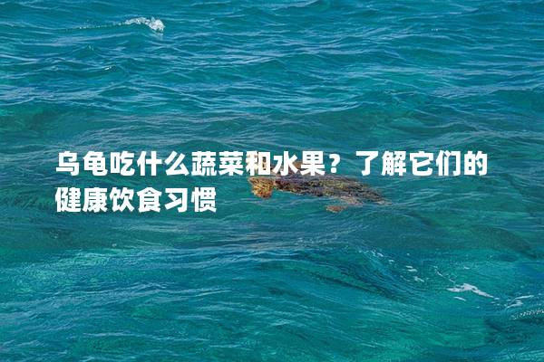 乌龟吃什么蔬菜和水果？了解它们的健康饮食习惯