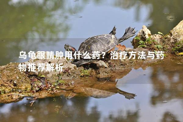 乌龟眼睛肿用什么药？治疗方法与药物推荐解析
