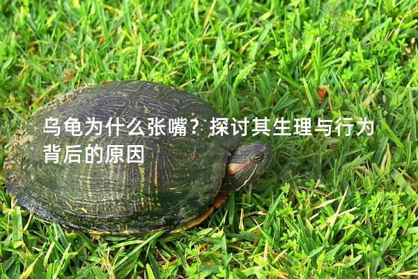 乌龟为什么张嘴？探讨其生理与行为背后的原因