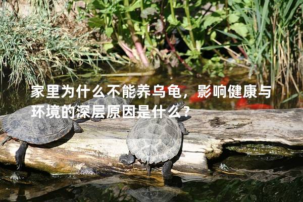 家里为什么不能养乌龟，影响健康与环境的深层原因是什么？