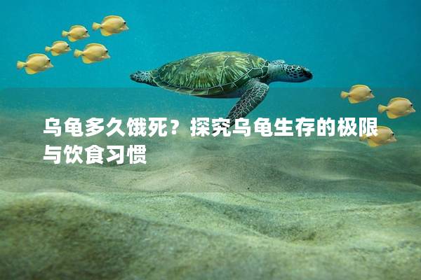 乌龟多久饿死？探究乌龟生存的极限与饮食习惯