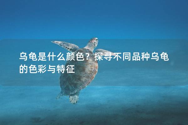 乌龟是什么颜色？探寻不同品种乌龟的色彩与特征