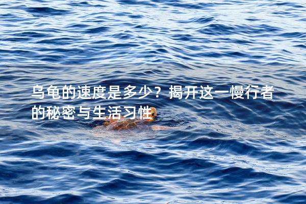 乌龟的速度是多少？揭开这一慢行者的秘密与生活习性