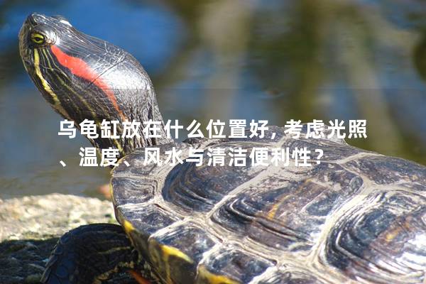 乌龟缸放在什么位置好, 考虑光照、温度、风水与清洁便利性？