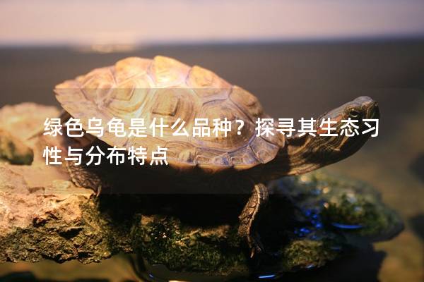 绿色乌龟是什么品种？探寻其生态习性与分布特点