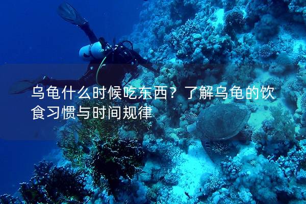 乌龟什么时候吃东西？了解乌龟的饮食习惯与时间规律
