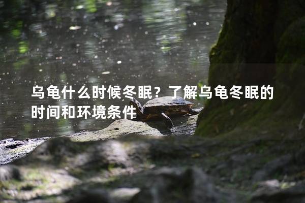 乌龟什么时候冬眠？了解乌龟冬眠的时间和环境条件