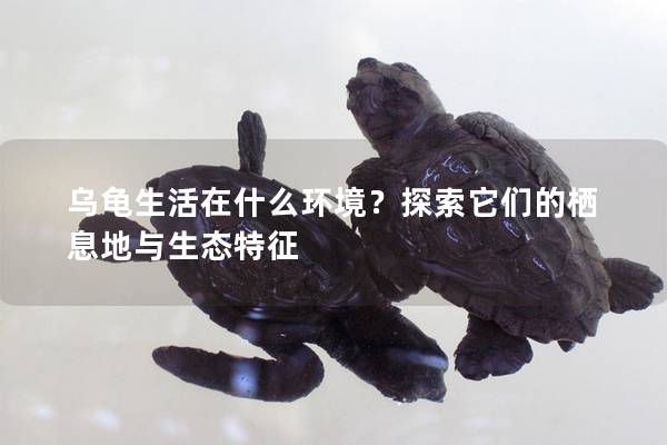 乌龟生活在什么环境？探索它们的栖息地与生态特征