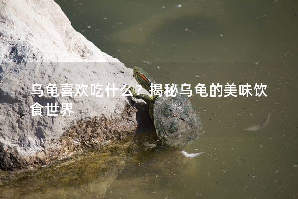 乌龟喜欢吃什么？揭秘乌龟的美味饮食世界