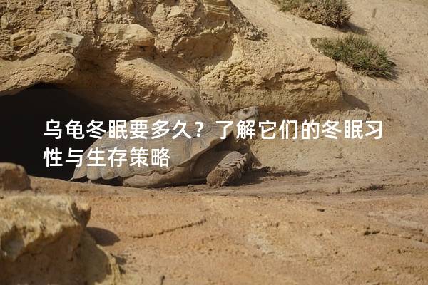乌龟冬眠要多久？了解它们的冬眠习性与生存策略