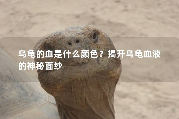 乌龟的血是什么颜色？揭开乌龟血液的神秘面纱