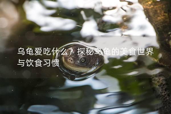 乌龟爱吃什么？探秘乌龟的美食世界与饮食习惯