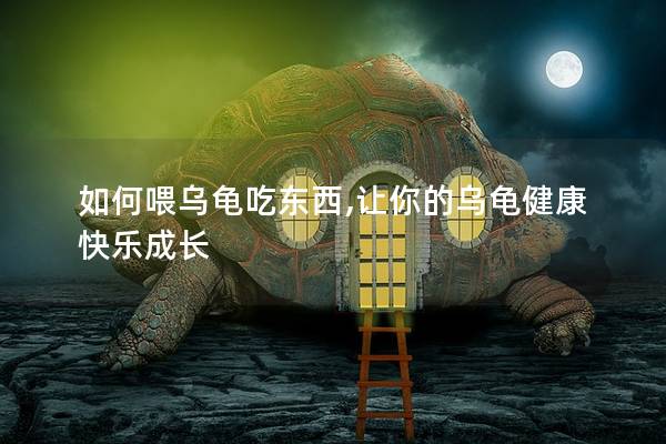 如何喂乌龟吃东西,让你的乌龟健康快乐成长