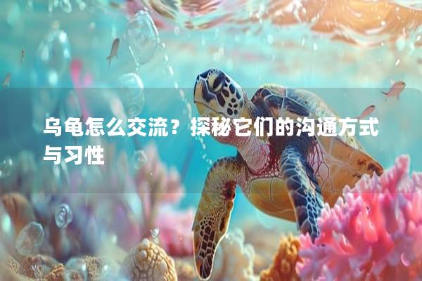 乌龟怎么交流？探秘它们的沟通方式与习性