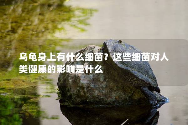 乌龟身上有什么细菌？这些细菌对人类健康的影响是什么
