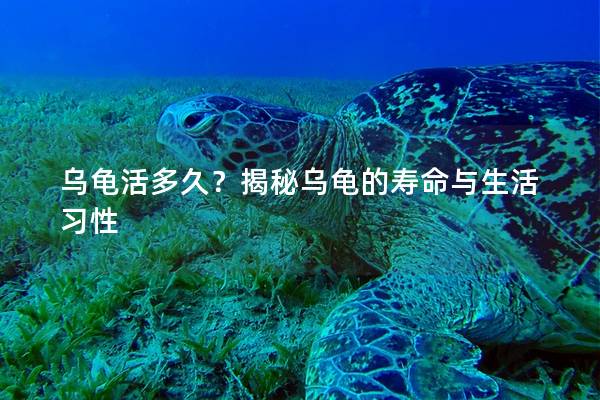 乌龟活多久？揭秘乌龟的寿命与生活习性