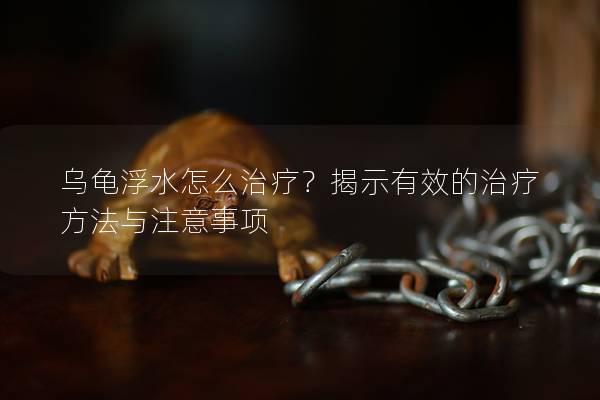 乌龟浮水怎么治疗？揭示有效的治疗方法与注意事项