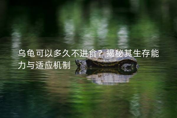 乌龟可以多久不进食？揭秘其生存能力与适应机制
