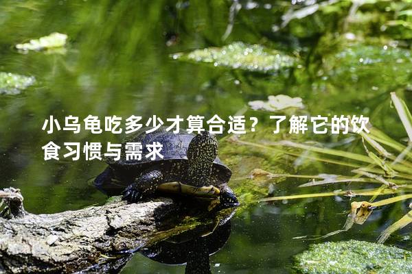 小乌龟吃多少才算合适？了解它的饮食习惯与需求