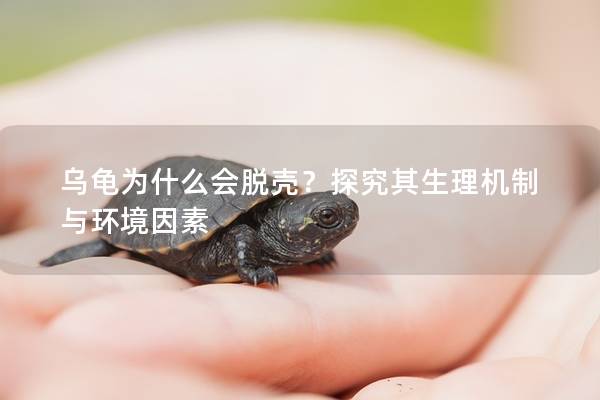 乌龟为什么会脱壳？探究其生理机制与环境因素