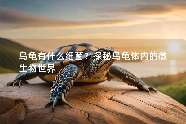 乌龟有什么细菌？探秘乌龟体内的微生物世界