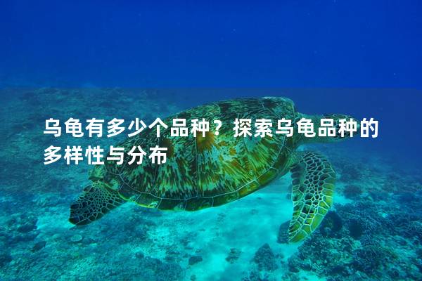 乌龟有多少个品种？探索乌龟品种的多样性与分布