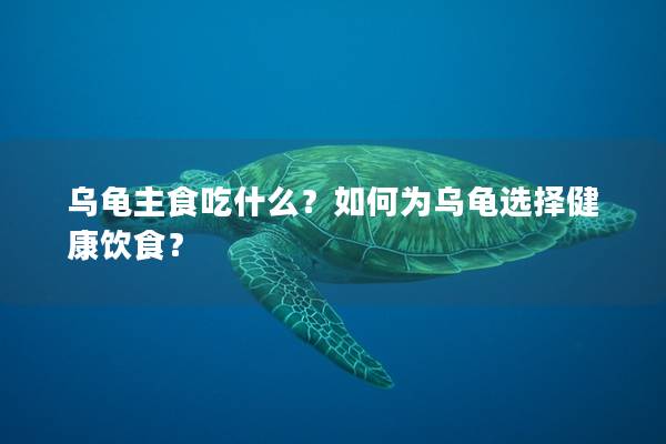 乌龟主食吃什么？如何为乌龟选择健康饮食？