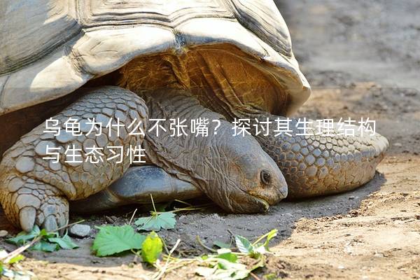 乌龟为什么不张嘴？探讨其生理结构与生态习性