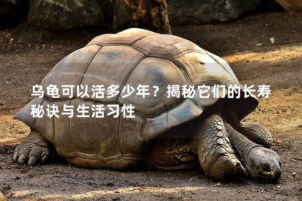 乌龟可以活多少年？揭秘它们的长寿秘诀与生活习性