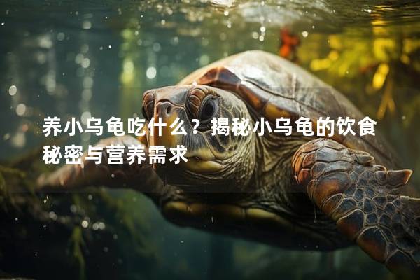 养小乌龟吃什么？揭秘小乌龟的饮食秘密与营养需求