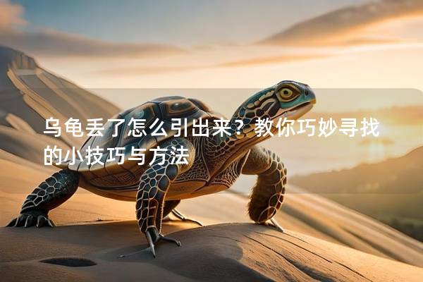 乌龟丢了怎么引出来？教你巧妙寻找的小技巧与方法