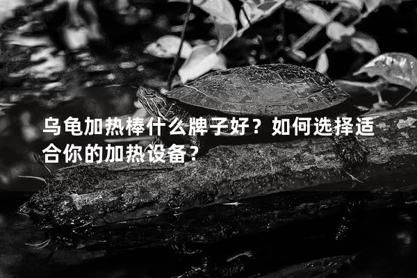 乌龟加热棒什么牌子好？如何选择适合你的加热设备？