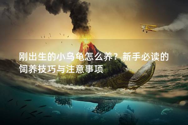 刚出生的小乌龟怎么养？新手必读的饲养技巧与注意事项