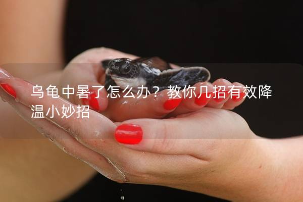 乌龟中暑了怎么办？教你几招有效降温小妙招
