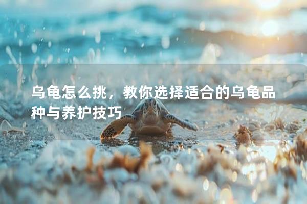 乌龟怎么挑，教你选择适合的乌龟品种与养护技巧