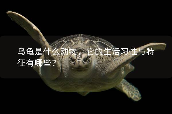 乌龟是什么动物，它的生活习性与特征有哪些？